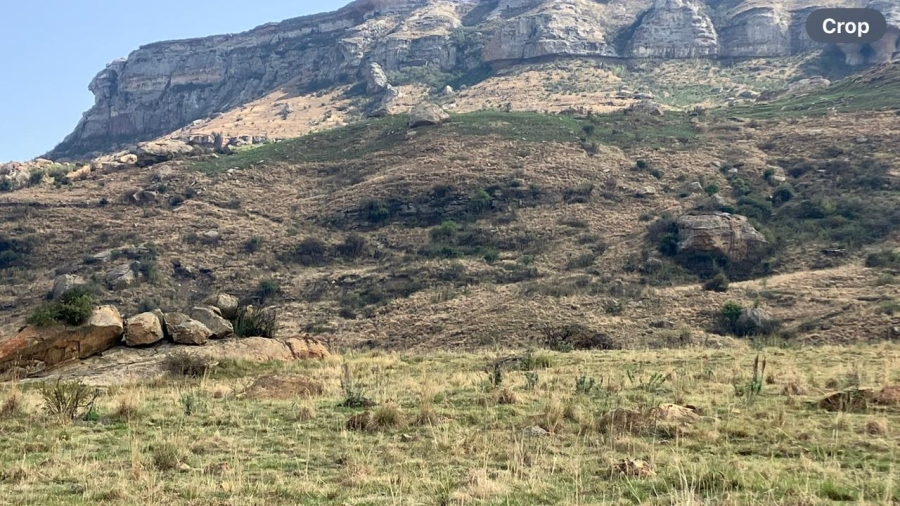 Commercial Property for Sale in Harrismith Rural Free State
